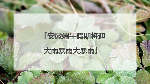 安徽端午假期将迎大雨暴雨大暴雨