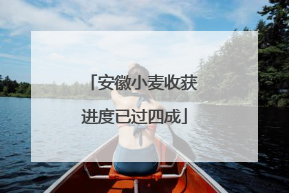 安徽小麦收获进度已过四成