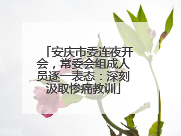 安庆市委连夜开会，常委会组成人员逐一表态：深刻汲取惨痛教训