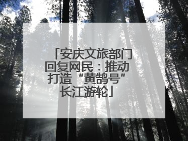 安庆文旅部门回复网民：推动打造“黄鹄号”长江游轮