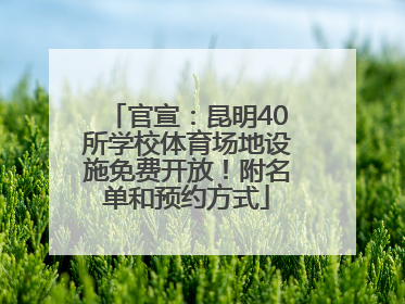 官宣：昆明40所学校体育场地设施免费开放！附名单和预约方式