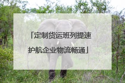 定制货运班列提速 护航企业物流畅通