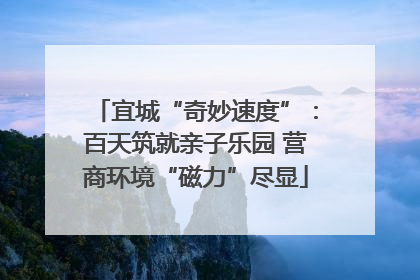 宜城“奇妙速度”：百天筑就亲子乐园 营商环境“磁力”尽显