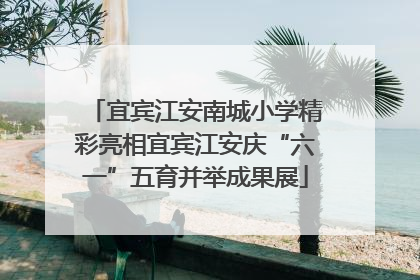 宜宾江安南城小学精彩亮相宜宾江安庆“六一”五育并举成果展