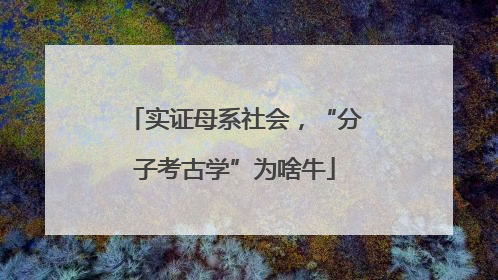实证母系社会，“分子考古学”为啥牛