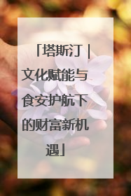 塔斯汀｜文化赋能与食安护航下的财富新机遇