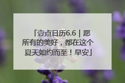 壹点日历6.6｜愿所有的美好，都在这个夏天如约而至！早安