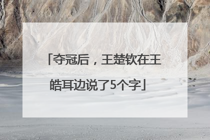 夺冠后，王楚钦在王皓耳边说了5个字