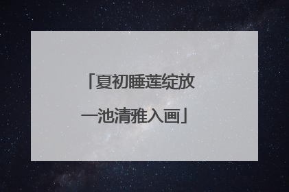 夏初睡莲绽放 一池清雅入画