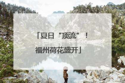 夏日“顶流”！福州荷花盛开
