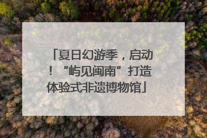 夏日幻游季，启动！“屿见闽南”打造体验式非遗博物馆
