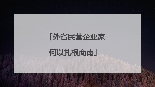 外省民营企业家何以扎根商南