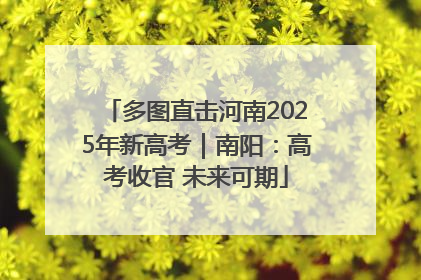 多图直击河南2025年新高考｜南阳：高考收官 未来可期