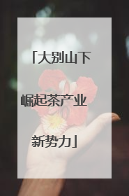 大别山下崛起茶产业新势力