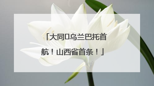 大同⇌乌兰巴托首航！山西省首条！