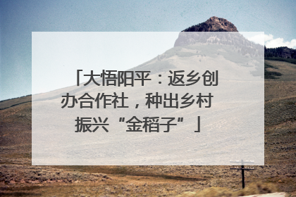 大悟阳平：返乡创办合作社，种出乡村振兴“金稻子”