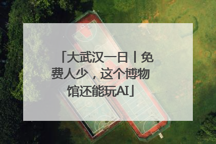 大武汉一日丨免费人少，这个博物馆还能玩AI