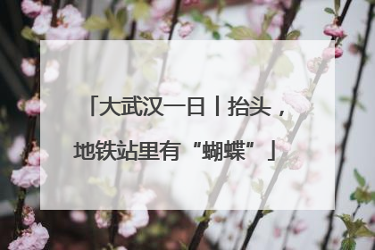 大武汉一日丨抬头，地铁站里有“蝴蝶”