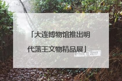 大连博物馆推出明代藩王文物精品展