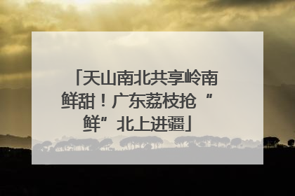 天山南北共享岭南鲜甜！广东荔枝抢“鲜”北上进疆