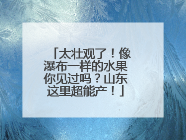 太壮观了！像瀑布一样的水果你见过吗？山东这里超能产！