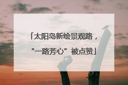 太阳岛新绘景观路，“一路芳心”被点赞