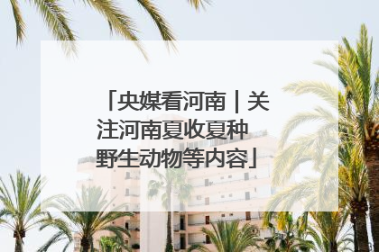 央媒看河南｜关注河南夏收夏种 野生动物等内容