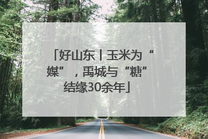 好山东丨玉米为“媒”，禹城与“糖”结缘30余年