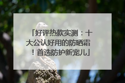 好评热款实测：十大公认好用的防晒霜！首选防护新宠儿