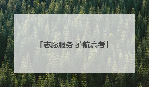 志愿服务 护航高考