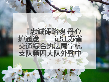 忠诚铸路魂 丹心护通途——记江苏省交通综合执法局宁杭支队第四大队外勤中队长奚强