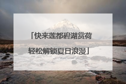 快来莲都碧湖赏荷 轻松解锁夏日浪漫