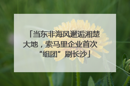 当东非海风邂逅湘楚大地，索马里企业首次“组团”刷长沙