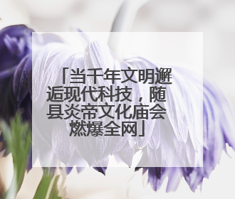 当千年文明邂逅现代科技，随县炎帝文化庙会燃爆全网