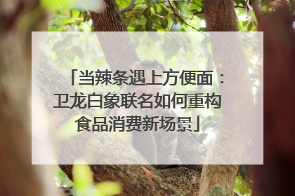 当辣条遇上方便面：卫龙白象联名如何重构食品消费新场景