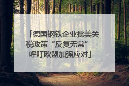 德国钢铁企业批美关税政策“反复无常” 呼吁欧盟加强应对