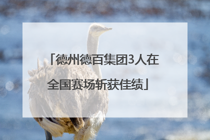 德州德百集团3人在全国赛场斩获佳绩