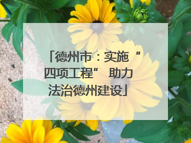德州市：实施“四项工程” 助力法治德州建设