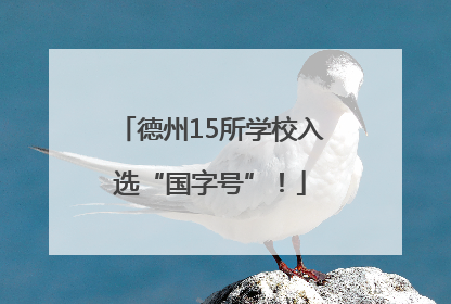 德州15所学校入选“国字号”！