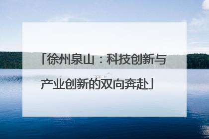 徐州泉山：科技创新与产业创新的双向奔赴