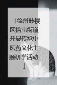 徐州鼓楼区拾屯街道开展传承中医药文化主题研学活动