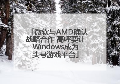 微软与AMD确认战略合作 高呼要让Windows成为头号游戏平台