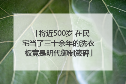 将近500岁 在民宅当了三十余年的洗衣板竟是明代御制箴碑