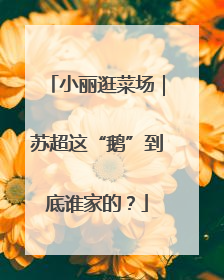 小丽逛菜场｜苏超这“鹅”到底谁家的？