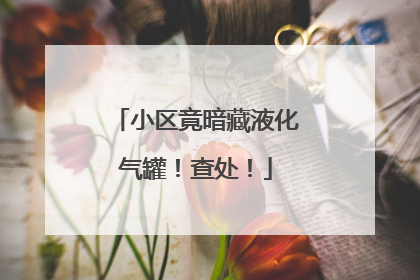 小区竟暗藏液化气罐！查处！