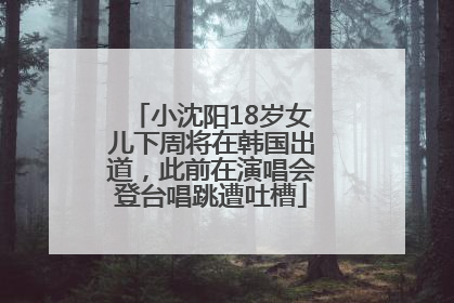 小沈阳18岁女儿下周将在韩国出道，此前在演唱会登台唱跳遭吐槽