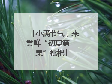 小满节气，来尝鲜“初夏第一果”枇杷