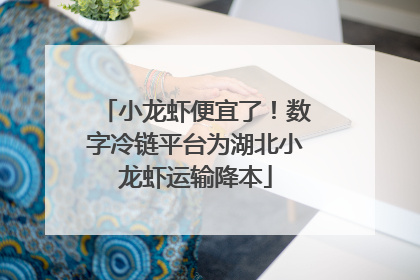 小龙虾便宜了！数字冷链平台为湖北小龙虾运输降本