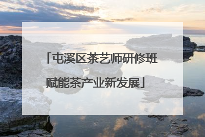 屯溪区茶艺师研修班赋能茶产业新发展