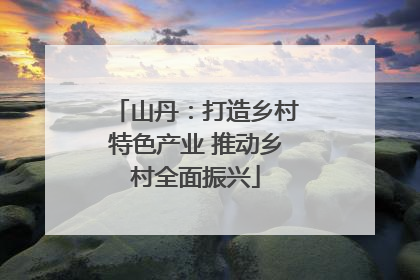 山丹：打造乡村特色产业 推动乡村全面振兴